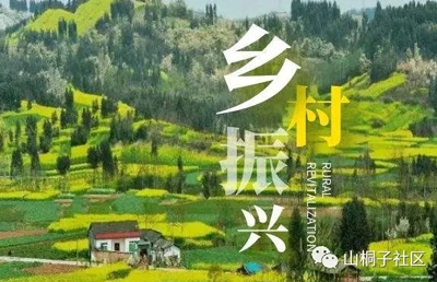 《“十四五”推进农业农村现代化规划》发布,聚焦七大重点任务